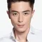 Wallace Huo filmleri